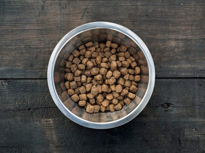 La nourriture pour chien est un aliment toxique pour les chats