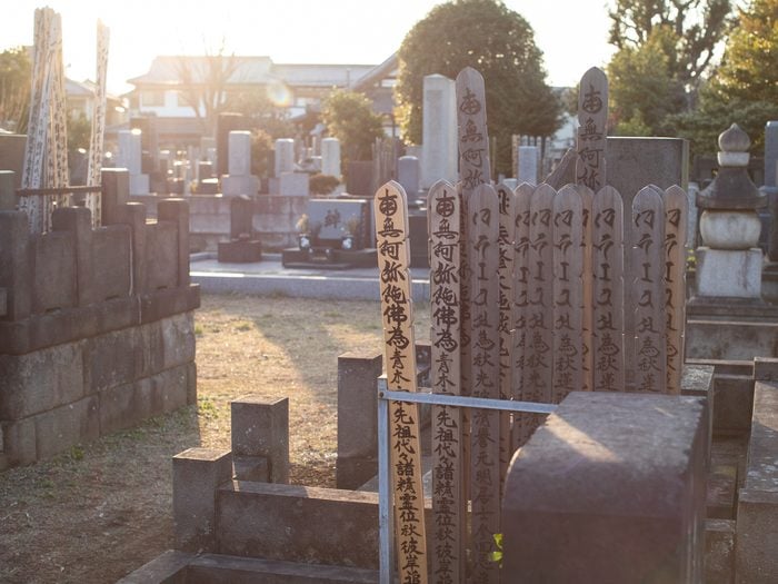 Tokyo,,japan, ,february,24,,2020:,yanaka,cemetery,,in,the