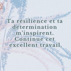 Resilience Determination Inspirent Carre