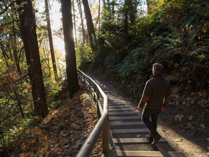 Man Walks Down Steps Through Forest And Into The Sunlight
