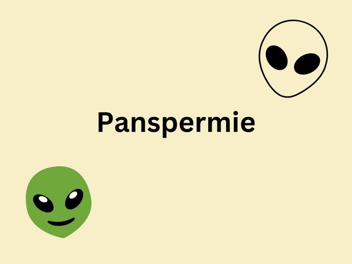 Extraterrestre Panspermie