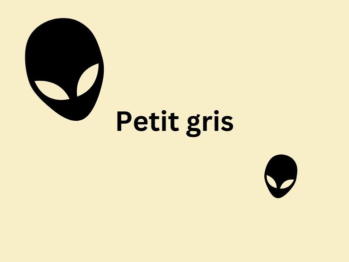 Extraterrestre Petit Gris