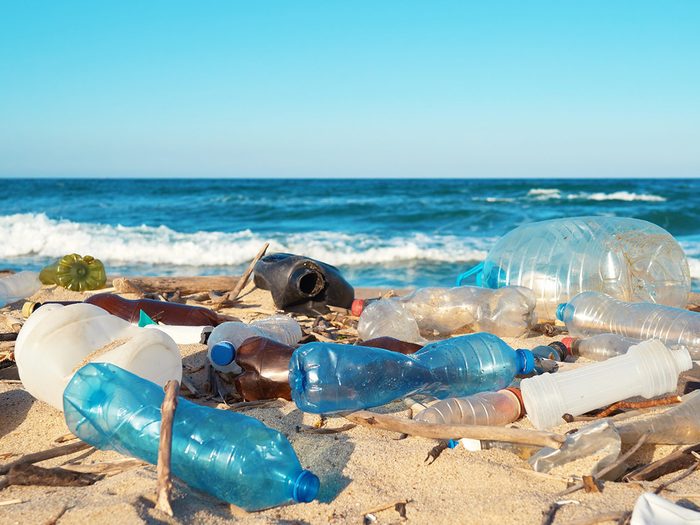 Plastique Ocean Pollution Especes Marines Menacees