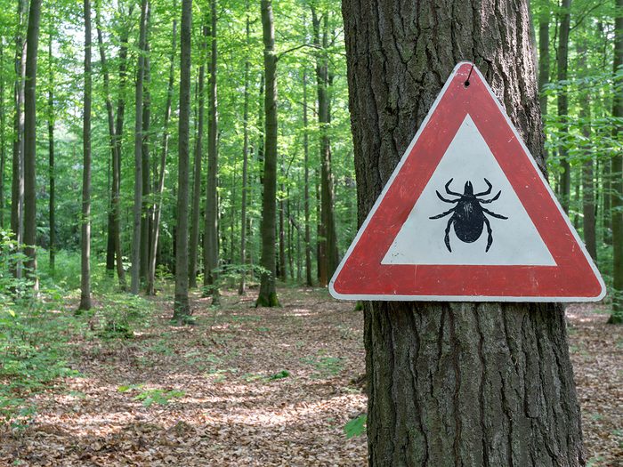 Tick,insect,warning,sign,in,forest