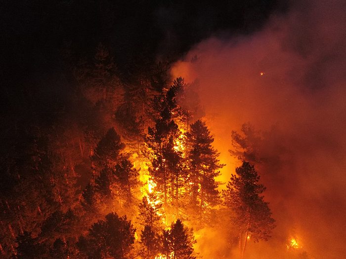 Extrêmes climatiques: des feux de forêt.