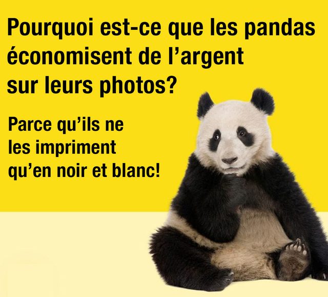 Pourquoi est-ce que les pandas conomisent de largent sur leurs photos? Parce quils ne les impriment quen noir et blanc.