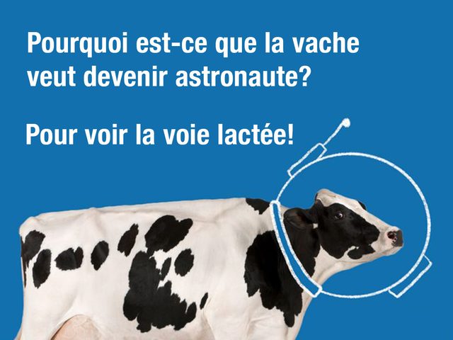 Pourquoi est-ce que la vache veut devenir astronaute? Pour voir la voie lacte!