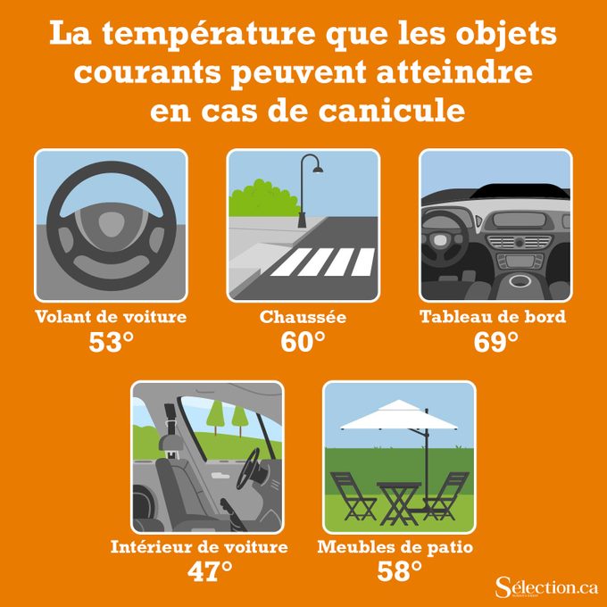 Canicule: une infographie sur la température que les objets courants peuvent atteindre en cas de chaleur extrême.