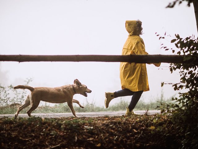 Un chien court avec son matre sous la pluie.