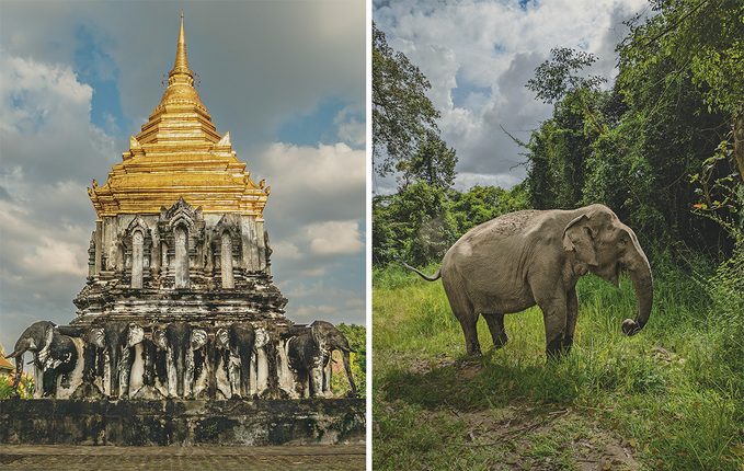 Un montage photo d'un temple (entouré d'éléphants) et d'un éléphant.