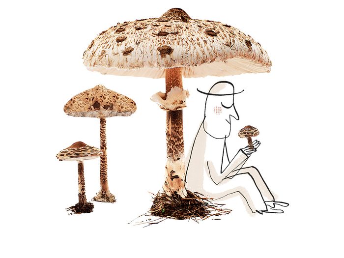 Une illustration d'un homme assis sous un grand champignon.