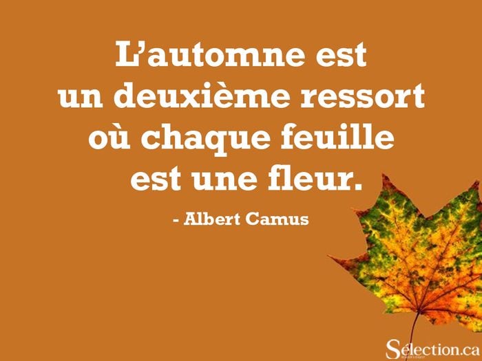 Citations automne d'Albert Camus.