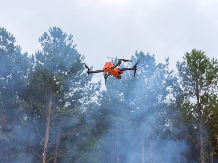Un drone dans la forêt.