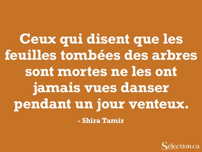 Citation de Shira Tamir.