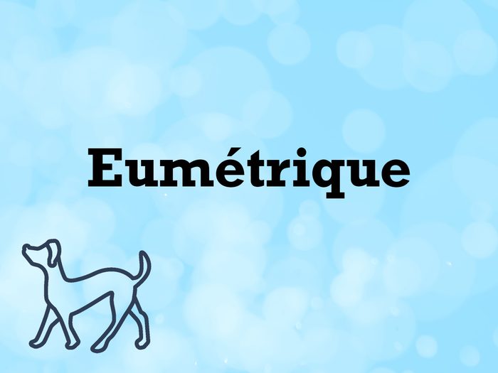 Vocabulaire animaux de compagnie: le mot eumétrique.