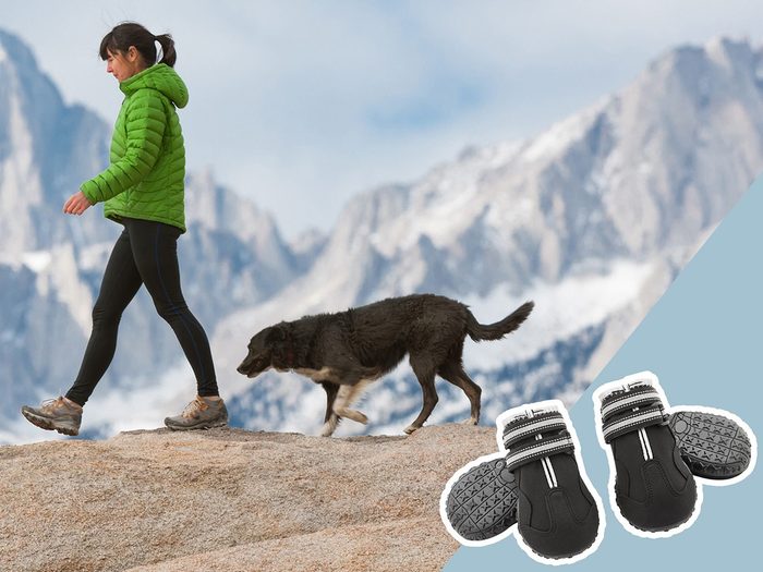 Sécurité des animaux: un montage d'un chien en randonnée et des bottes pour chiens.