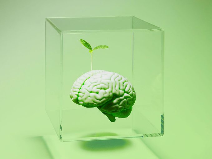 Comment se concentrer: un cerveau dans un bloc de verre.