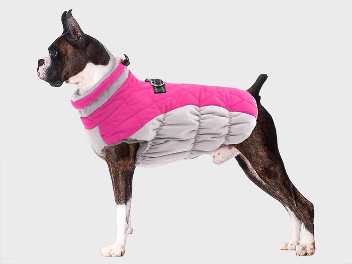 Un manteau d'hiver rose pour chien de la marque Lelepet.