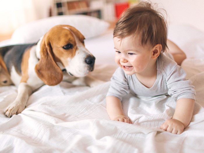 Un bébé et un chien sur un lit.