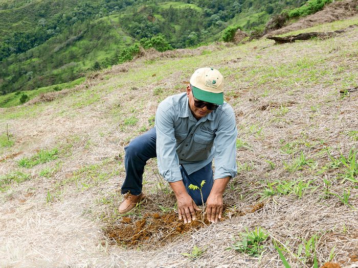 Bonnes nouvelles 2024: Francisco Núñez plante un arbre sur un site de restauration dans le bassin versant Yaque del Norte, en République dominicaine.