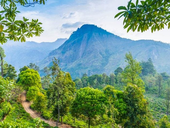 Le Pekoe Trail, au Sri Lanka.