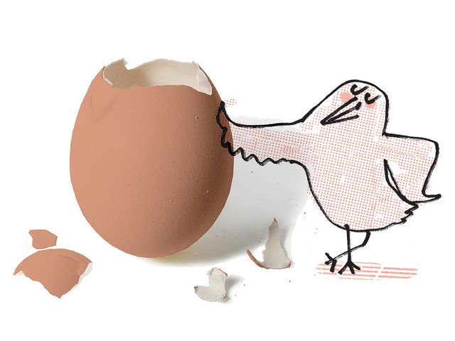 Faits ufs: illustration d'une poule et d'un uf.