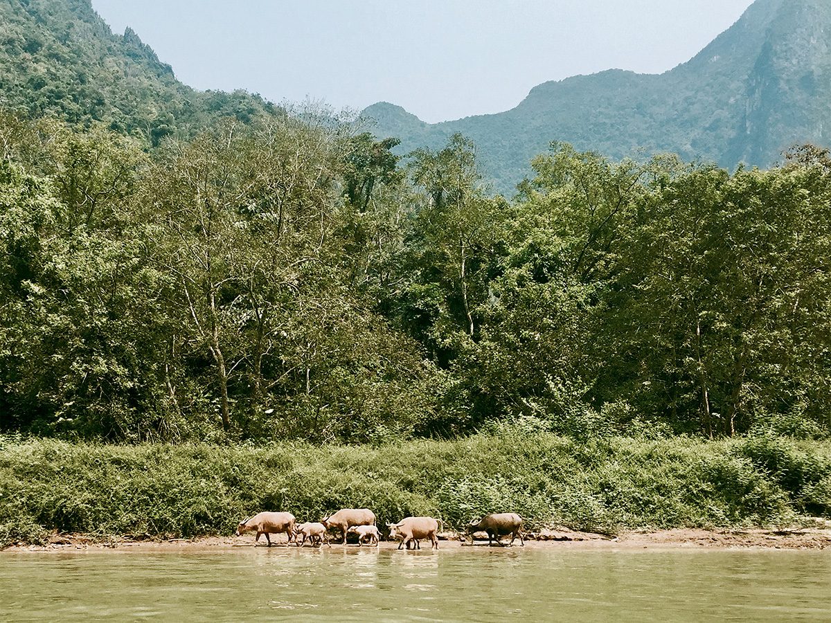 Prochaine destination: la rivière Nam Ou.