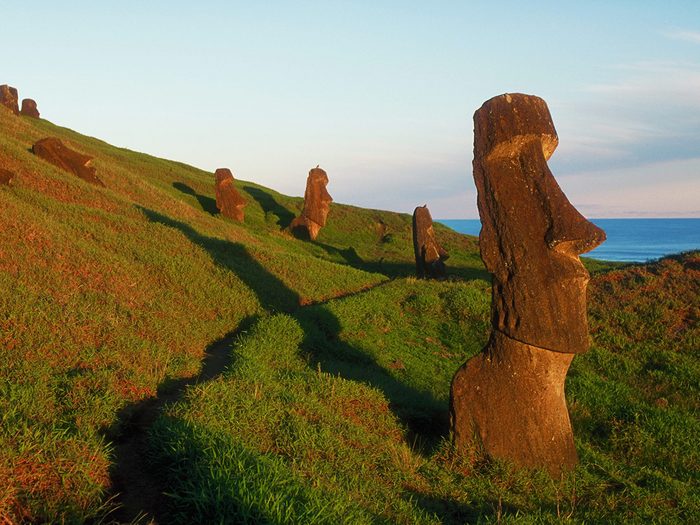 Les statues géantes de l'Île de Pâques.