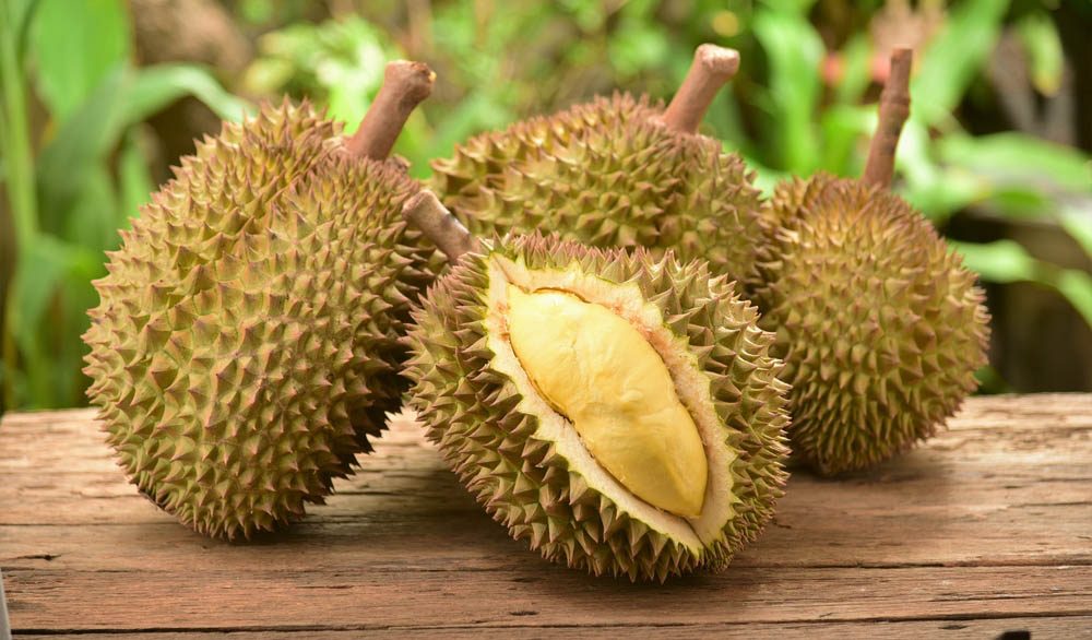 Aliments dangereux : attention au durian.