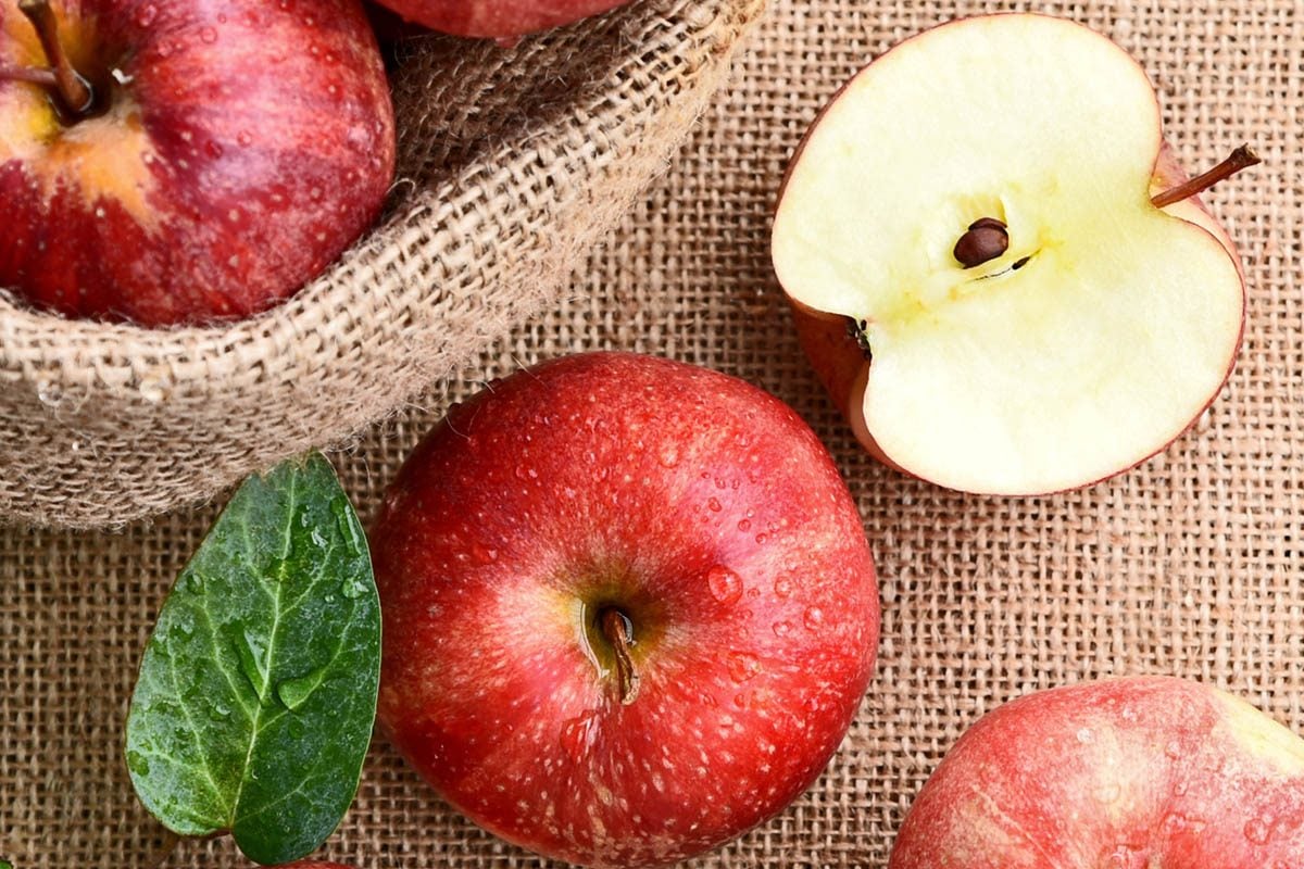 Aliments dangereux : ne mangez pas les pépins des pommes.