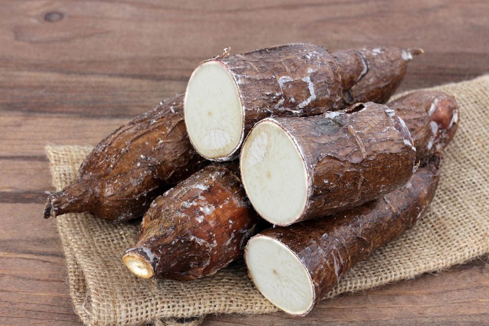 Aliments dangereux : assurez-vous de bien faire cuire les racines de manioc.